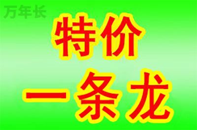 江西江西省南昌市东湖区墓地哪个好？
